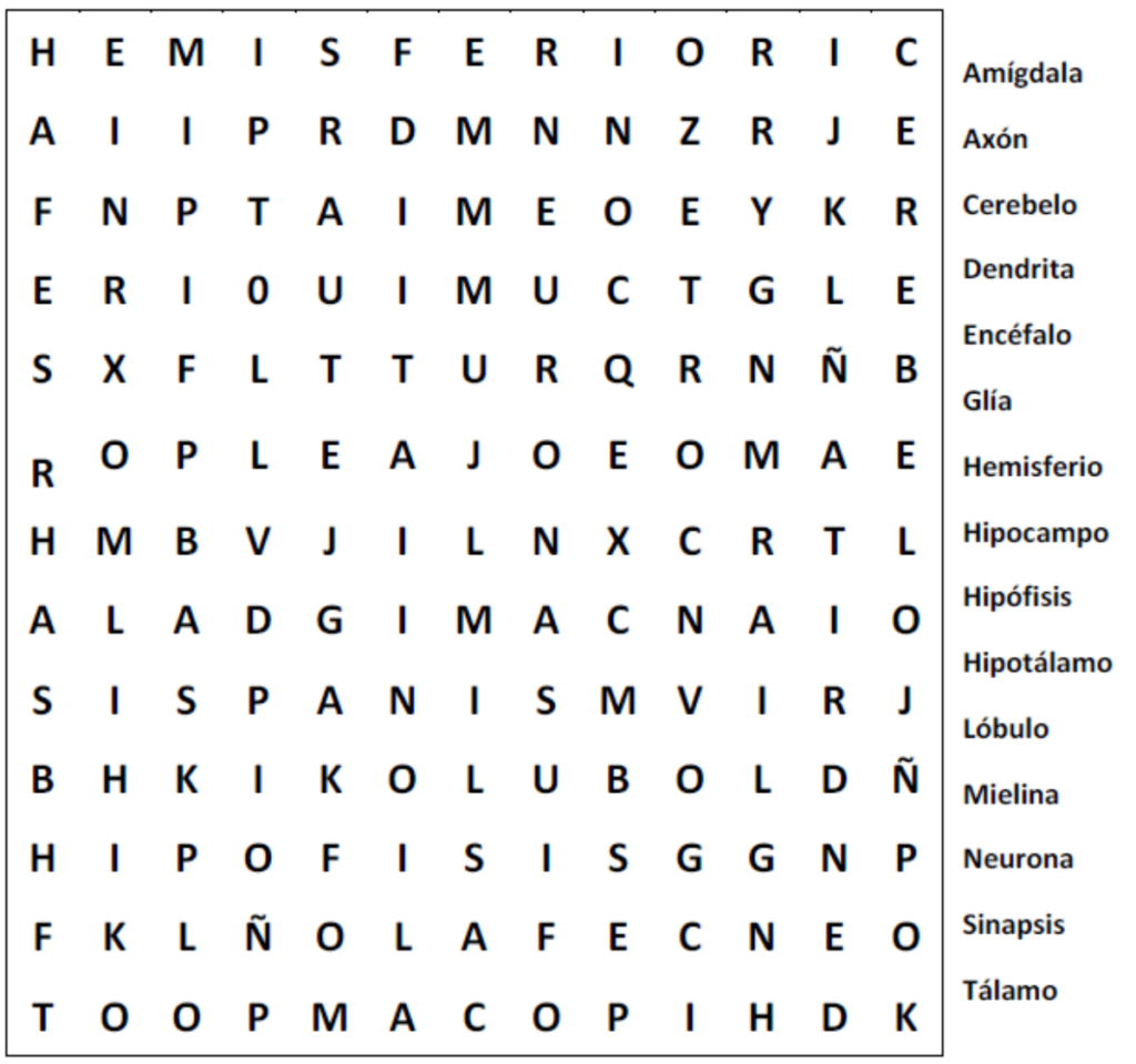 Cerebro Activo Sopa De Letras 6