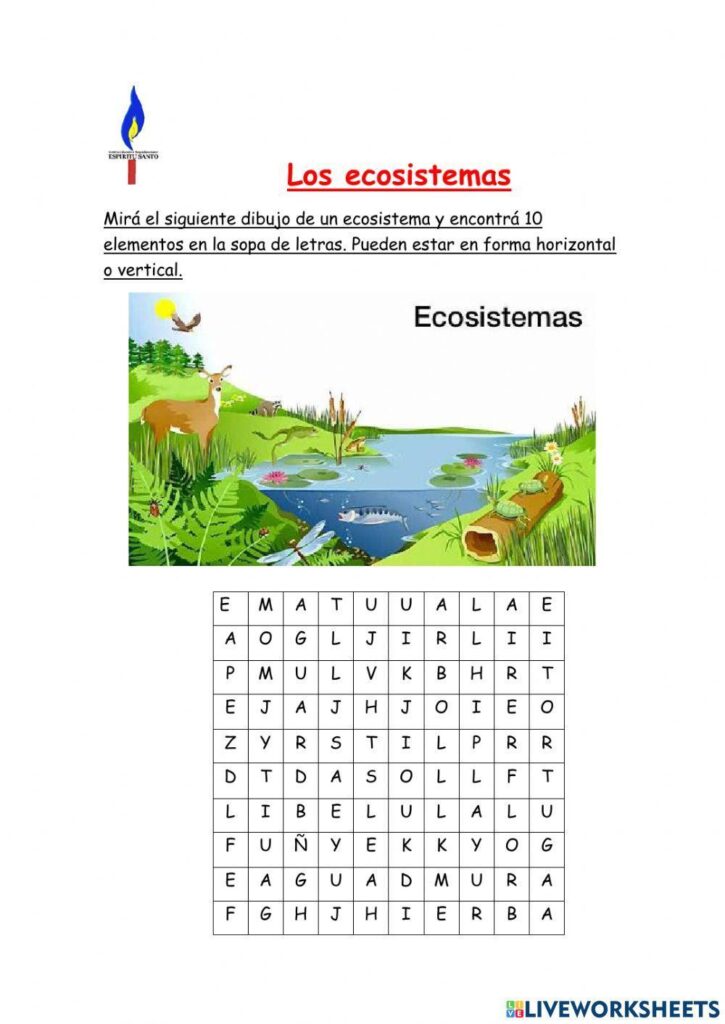 Conocimiento Del Mundo Conocimiento Del Mundo