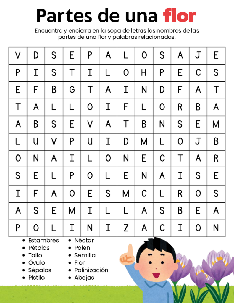 Sopa De Letras Partes De Una Flor Hoja De Trabajo Sopa De Letras Partes De Una Flor Hoja De Trabajo